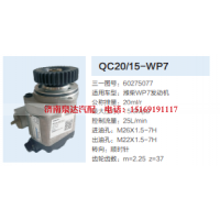 QC20/15-WP7,动力转向齿轮泵,济南泉达汽配有限公司