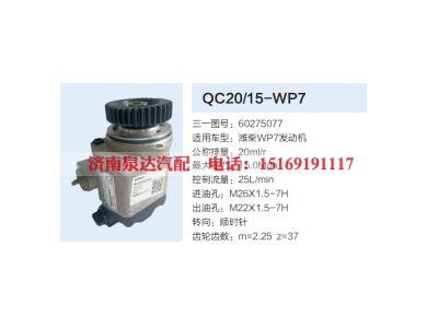 60275077,动力转向齿轮泵,济南泉达汽配有限公司