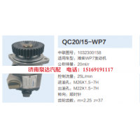 QC20/15-WP7,动力转向齿轮泵,济南泉达汽配有限公司