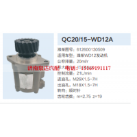 612600130509,齿轮泵,济南泉达汽配有限公司