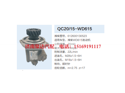 QC20/15-WD615,齿轮泵,济南泉达汽配有限公司