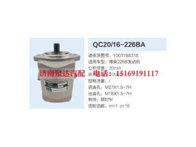 1003188318,齿轮泵,济南泉达汽配有限公司