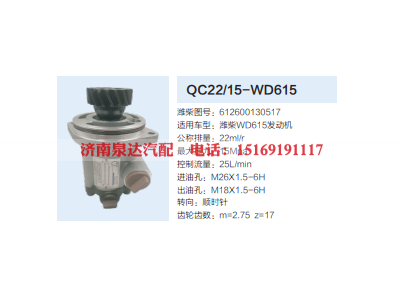 QC22/15-WD615,齿轮泵,济南泉达汽配有限公司