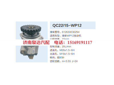 QC22/15-WP12,轉(zhuǎn)向助力泵,濟南泉達汽配有限公司