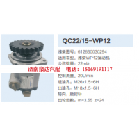 QC22/15-WP12,轉(zhuǎn)向助力泵,濟南泉達汽配有限公司