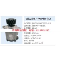 QC22/17-WP10-NJ,转向助力泵,济南泉达汽配有限公司