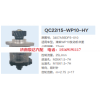 3407A59DP3-010,转向助力泵,济南泉达汽配有限公司