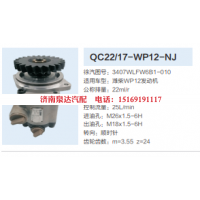 3407WLFW6B1-010,转向助力泵,济南泉达汽配有限公司