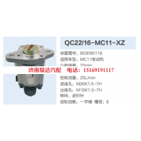 QC22/16-MC11-XZ,转向助力泵,济南泉达汽配有限公司