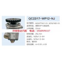 3407WLFW6B1-010,轉(zhuǎn)向助力泵,濟南泉達汽配有限公司