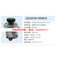 XGA3407ALH121-010,轉(zhuǎn)向助力泵,濟(jì)南泉達(dá)汽配有限公司