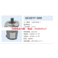 QC22/17-D05,转向助力泵,济南泉达汽配有限公司