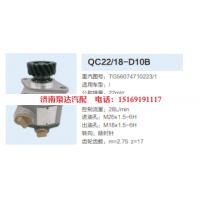 QC22/18-D10B,轉(zhuǎn)向助力泵,濟(jì)南泉達(dá)汽配有限公司