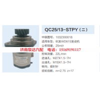 QC25/13-STPY,转向助力泵,济南泉达汽配有限公司