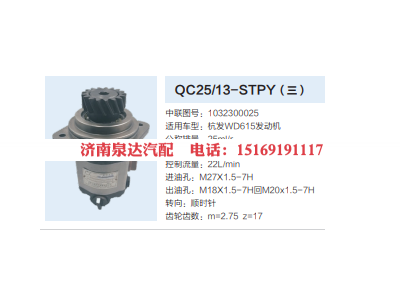 1032300025,转向助力泵,济南泉达汽配有限公司