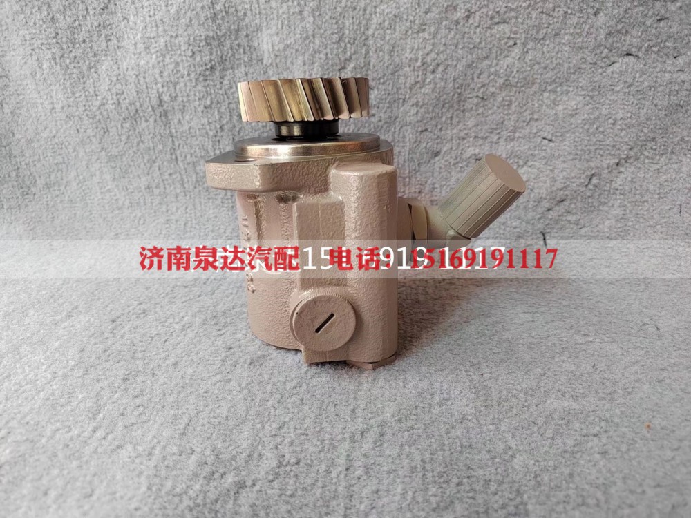 1001782975,转向助力泵,济南泉达汽配有限公司