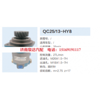QC25/13-HY8,转向助力泵,济南泉达汽配有限公司