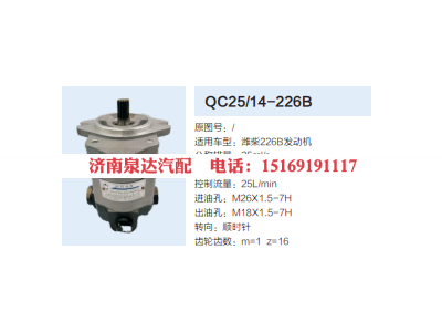 QC25/14-226B,转向助力泵,济南泉达汽配有限公司