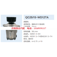 QC25/15-WD12TA,转向助力泵,济南泉达汽配有限公司