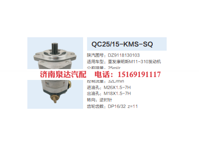 DZ9118130103,转向助力泵,济南泉达汽配有限公司