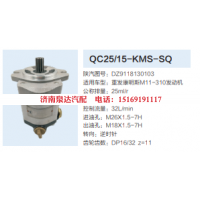 DZ9118130103,转向助力泵,济南泉达汽配有限公司