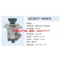 合肥力威天力转向齿轮泵动力转向泵助力泵液压泵