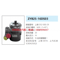 ZYB25-16DS03上汽红岩转向泵方向助力泵液压油泵