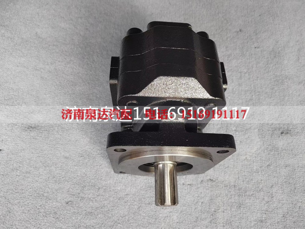 804019945,齿轮泵,济南泉达汽配有限公司