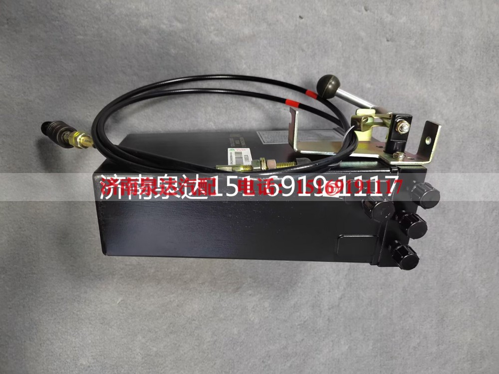 WG9725820047,六角头电动油泵总成（同时报WG9725820039）,济南泉达汽配有限公司