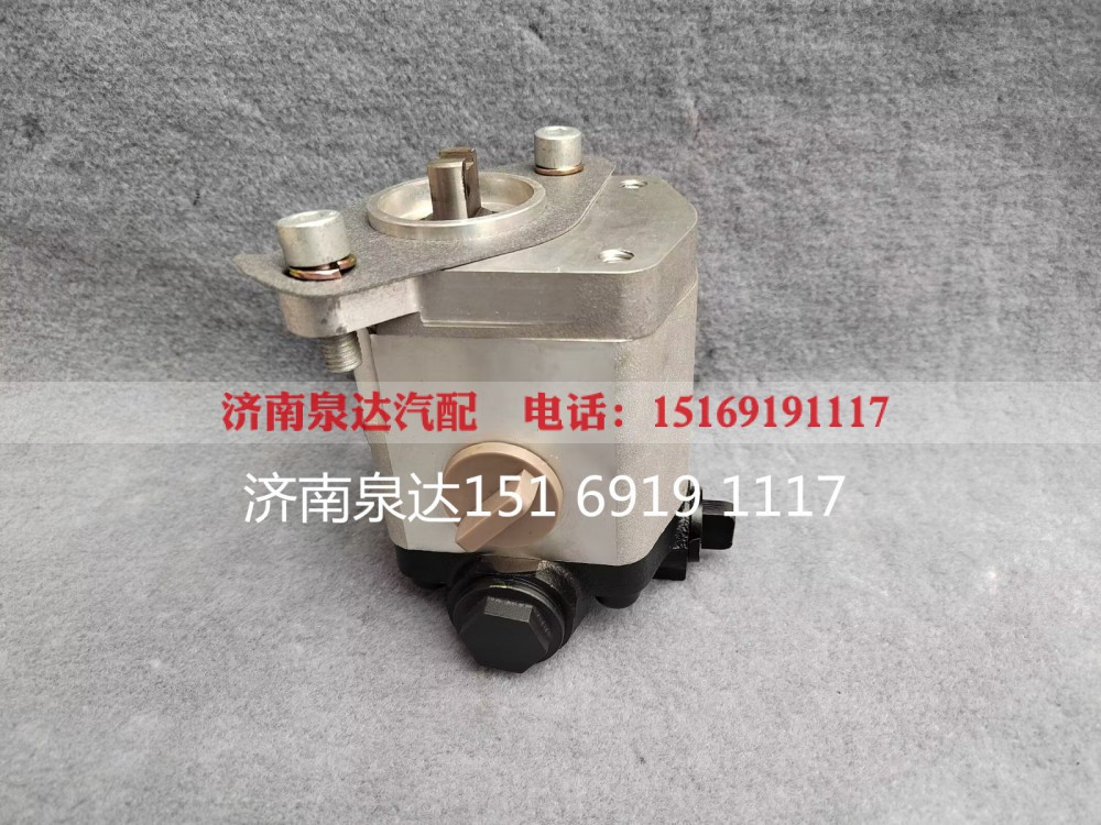 TG25074711925,转向助力泵,济南泉达汽配有限公司