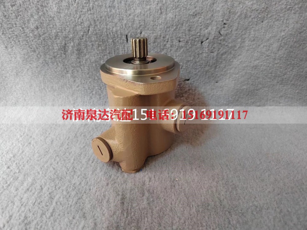 A220301000299,轉(zhuǎn)向助力泵,濟南泉達汽配有限公司