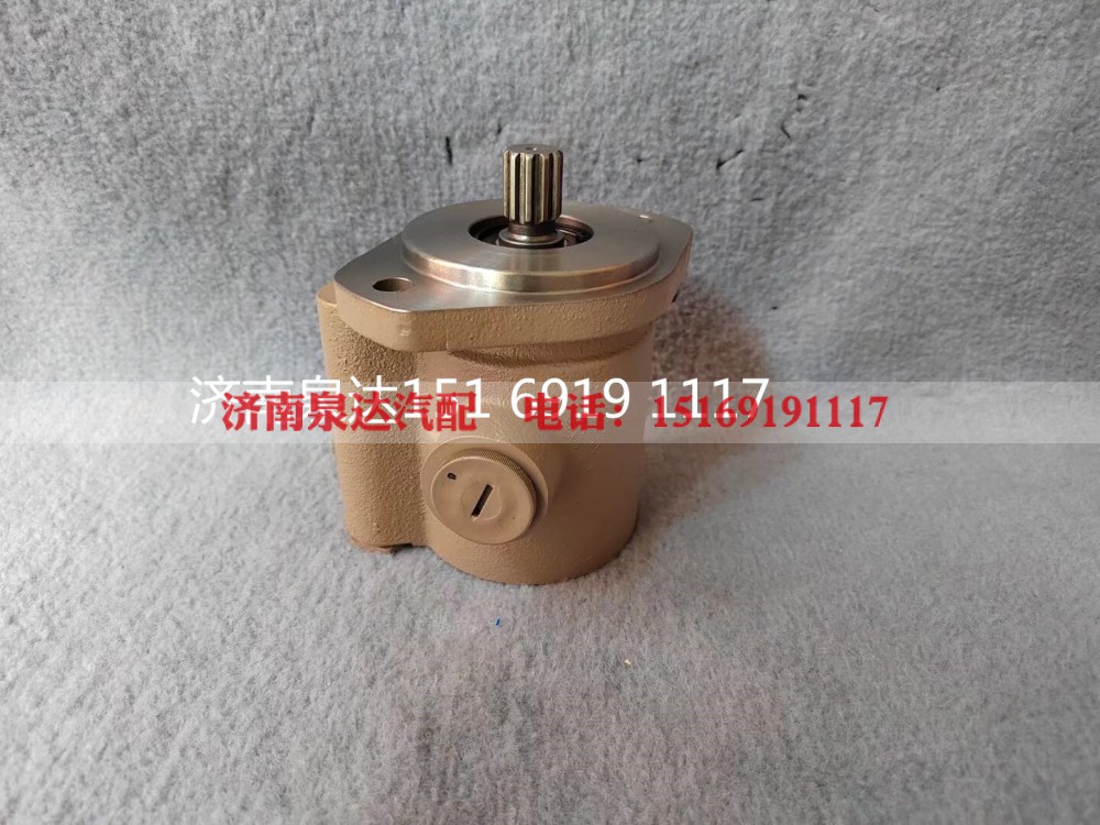A220301000299,轉(zhuǎn)向助力泵,濟南泉達汽配有限公司