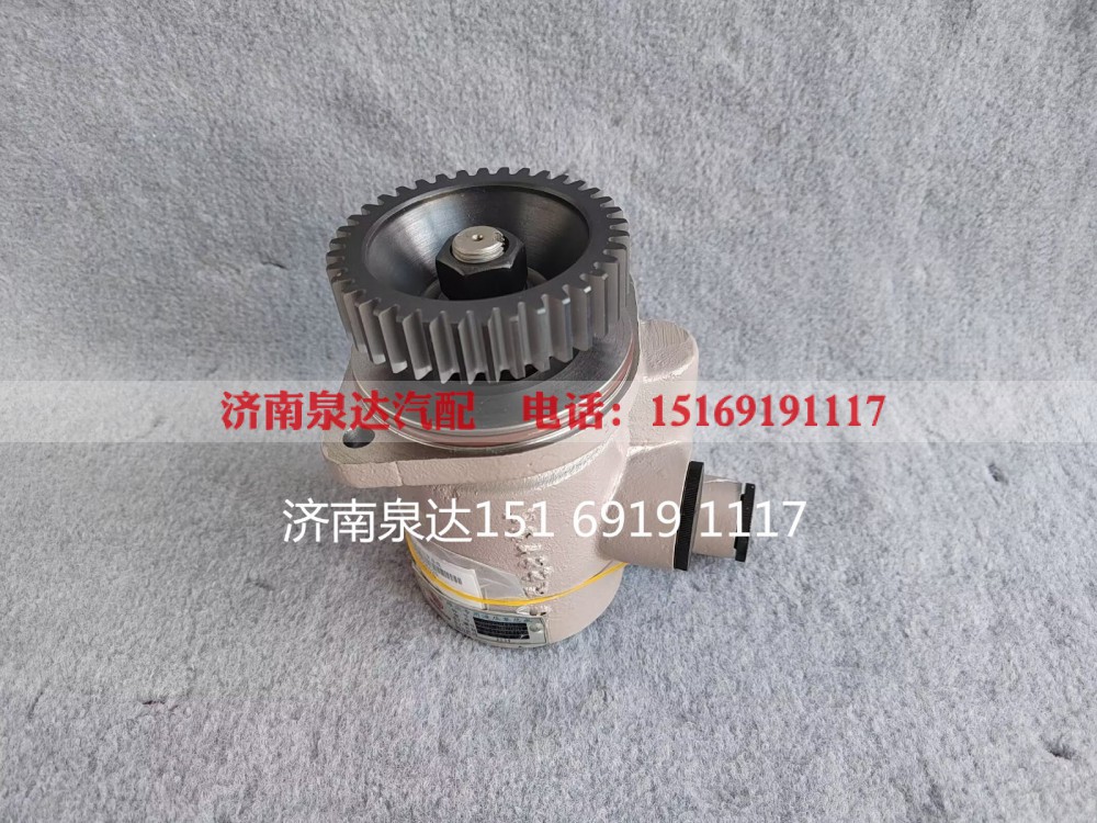 1002008625,转向助力泵,济南泉达汽配有限公司