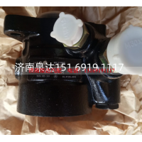 7674955519,转向助力泵,济南泉达汽配有限公司