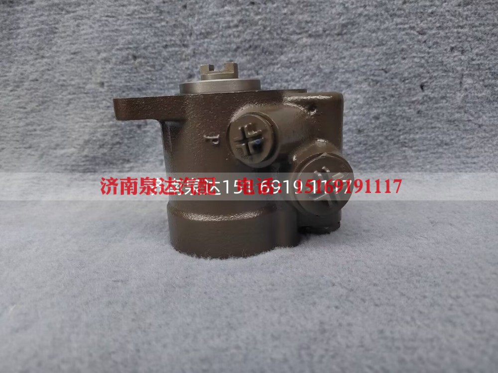 FG9816476900,转向助力泵,济南泉达汽配有限公司