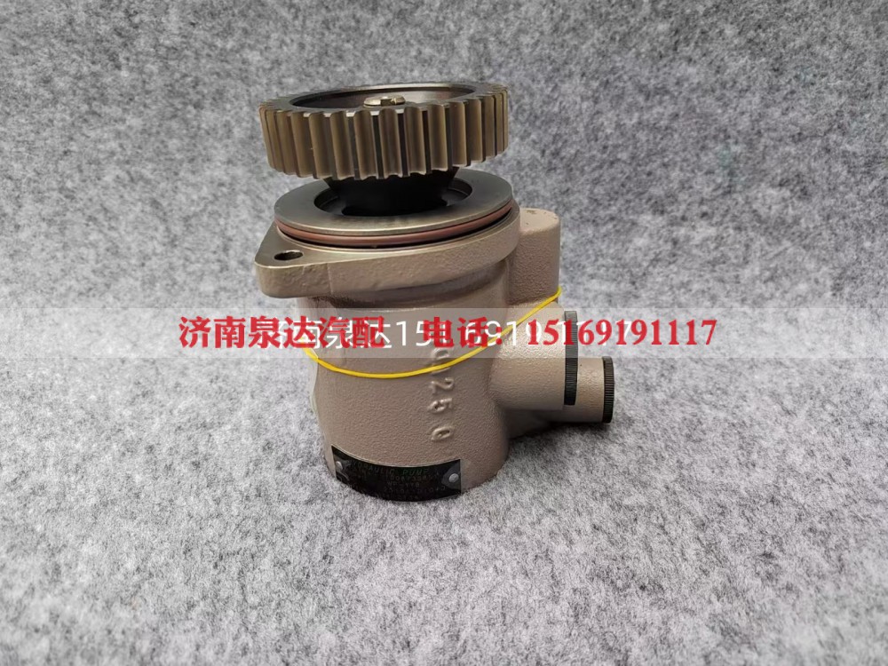 1002008625,转向助力泵,济南泉达汽配有限公司