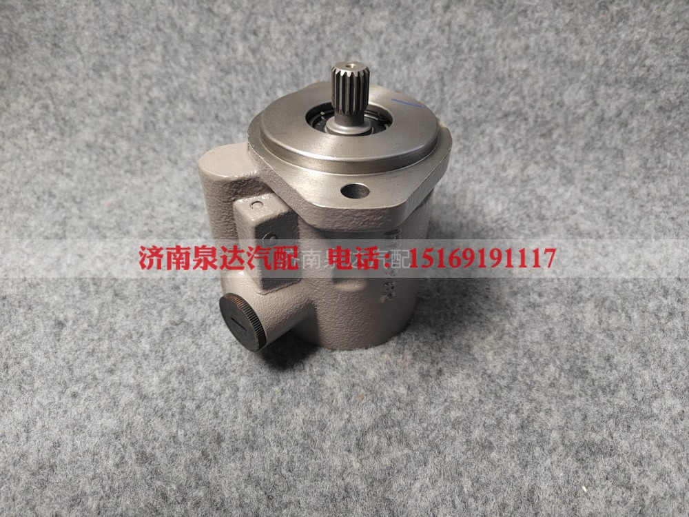 DZ98189470101,转向助力泵,济南泉达汽配有限公司