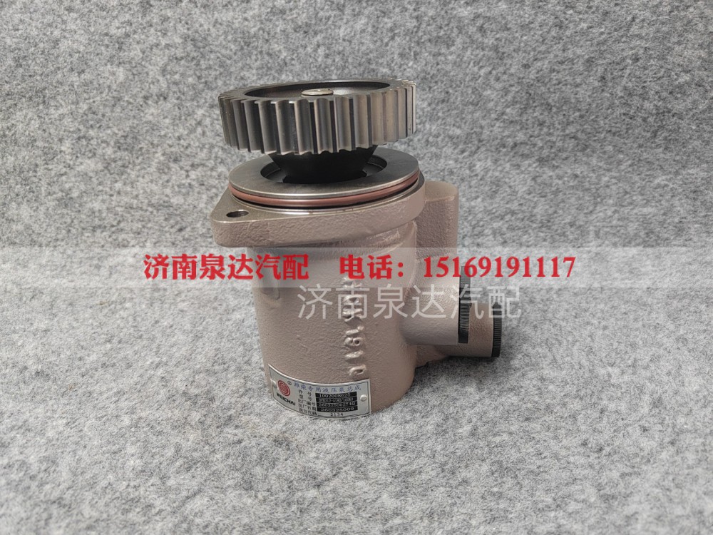 1002008625,转向助力泵,济南泉达汽配有限公司