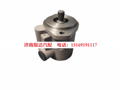 DZ98189470101,转向助力泵,济南泉达汽配有限公司