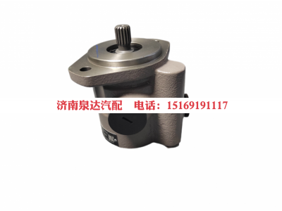 DZ98189470101,转向助力泵,济南泉达汽配有限公司