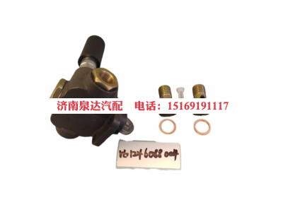 VG1246088004,输油泵,济南泉达汽配有限公司