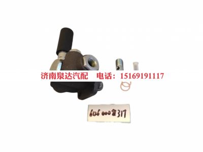 612600081317,输油泵,济南泉达汽配有限公司
