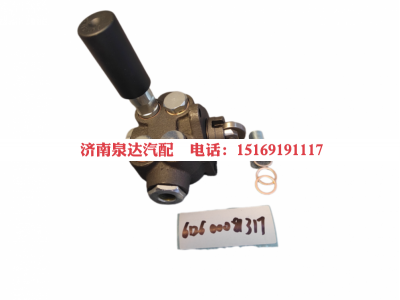 612600081317,输油泵,济南泉达汽配有限公司