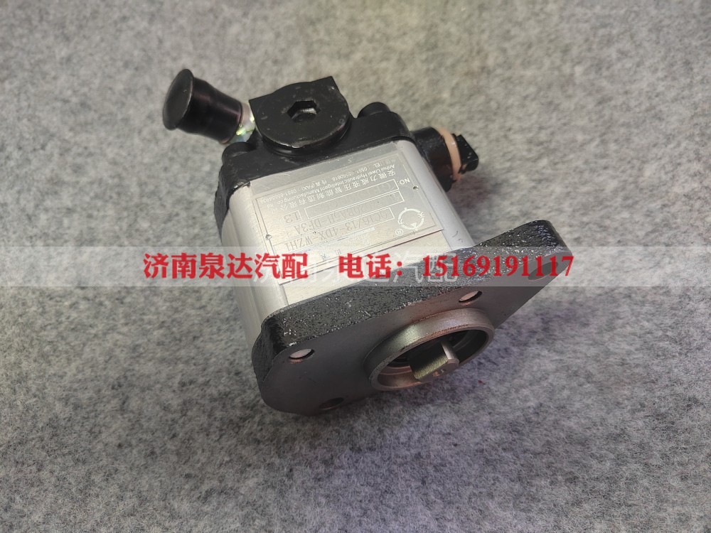 3407020BA5H-DF3A,动力转向油泵总成,济南泉达汽配有限公司