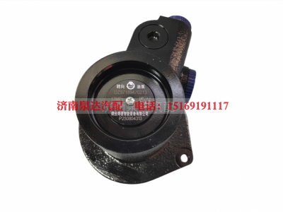 DZ97189470213,轉(zhuǎn)向助力泵,濟南泉達(dá)汽配有限公司