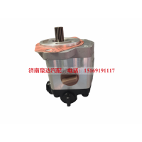 QC18/14-D14XZ,转向助力泵,济南泉达汽配有限公司