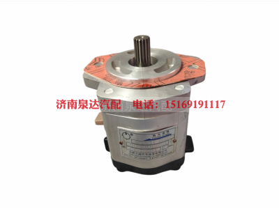 QC18/14-D14XZ,转向助力泵,济南泉达汽配有限公司