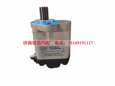 QC20/17-YCK09L,转向助力泵,济南泉达汽配有限公司