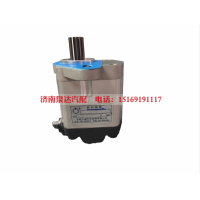 QC20/17-YCK09L,转向助力泵,济南泉达汽配有限公司