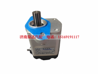 QC20/17-YCK09L,转向助力泵,济南泉达汽配有限公司